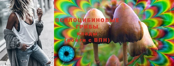 прущая мука Богданович